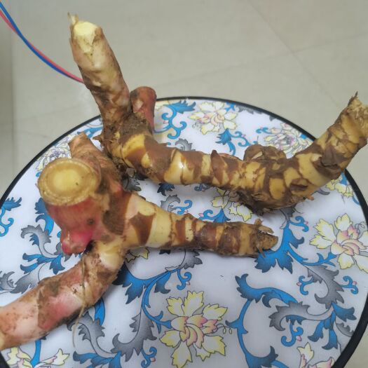 南宁 野生南姜鲜货
