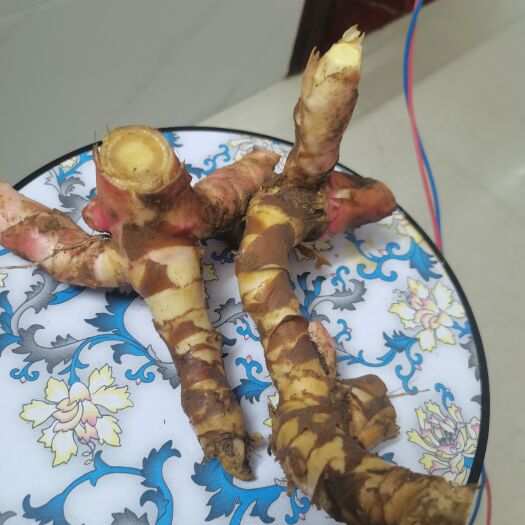 南宁 野生南姜