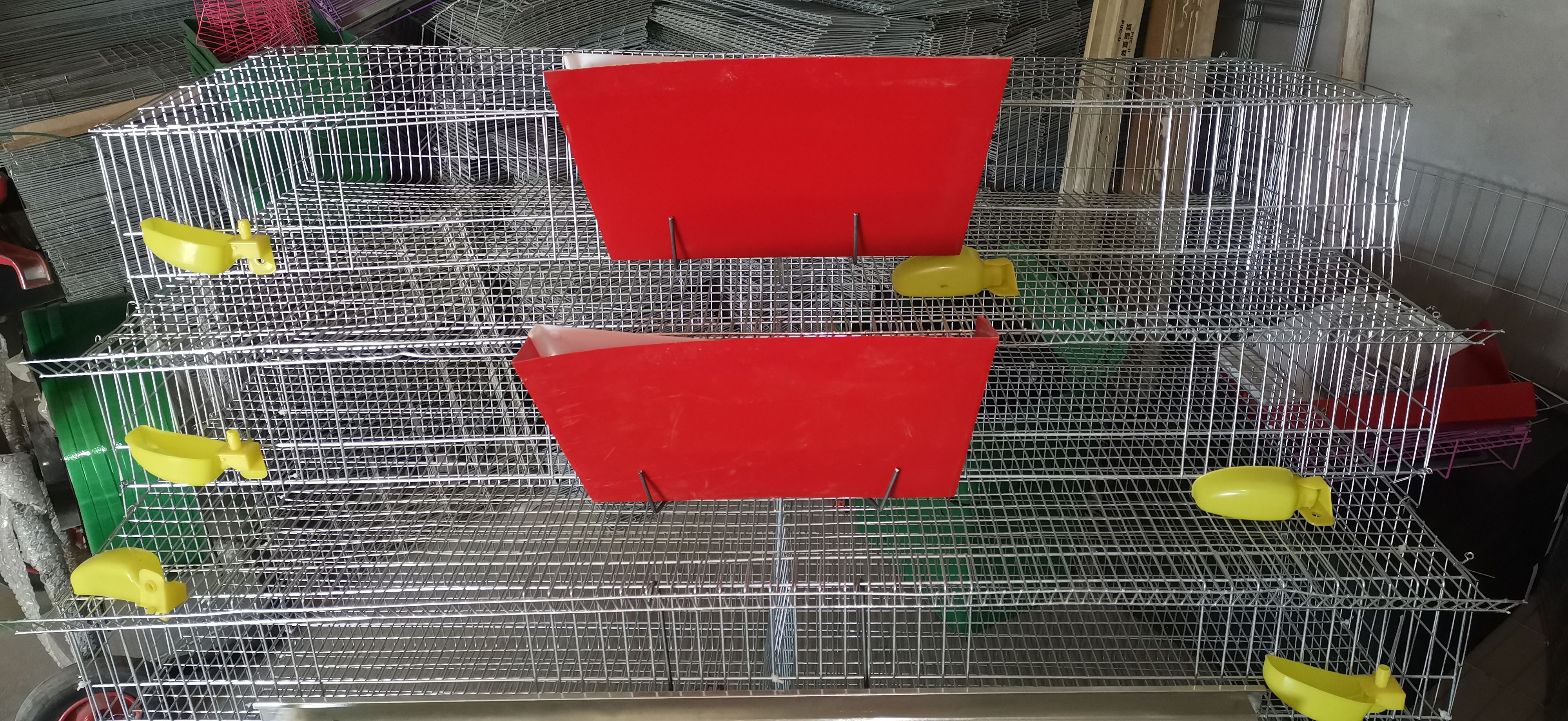 芦丁鸡笼立式养殖笼鹌鹑笼鹧鸪笼鸡笼笼具厂支持订做笼具鹧鸪
