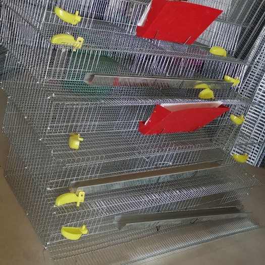石家庄芦丁鸡笼立式养殖笼鹌鹑笼鹧鸪笼鸡笼笼具厂支持订做笼具鹧鸪