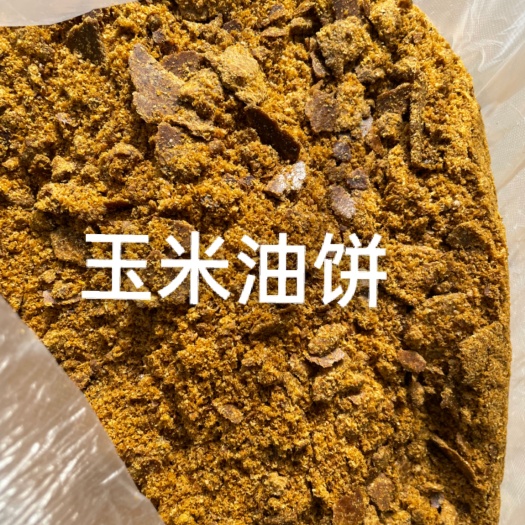 正定县玉米饼饲料   玉米油饼