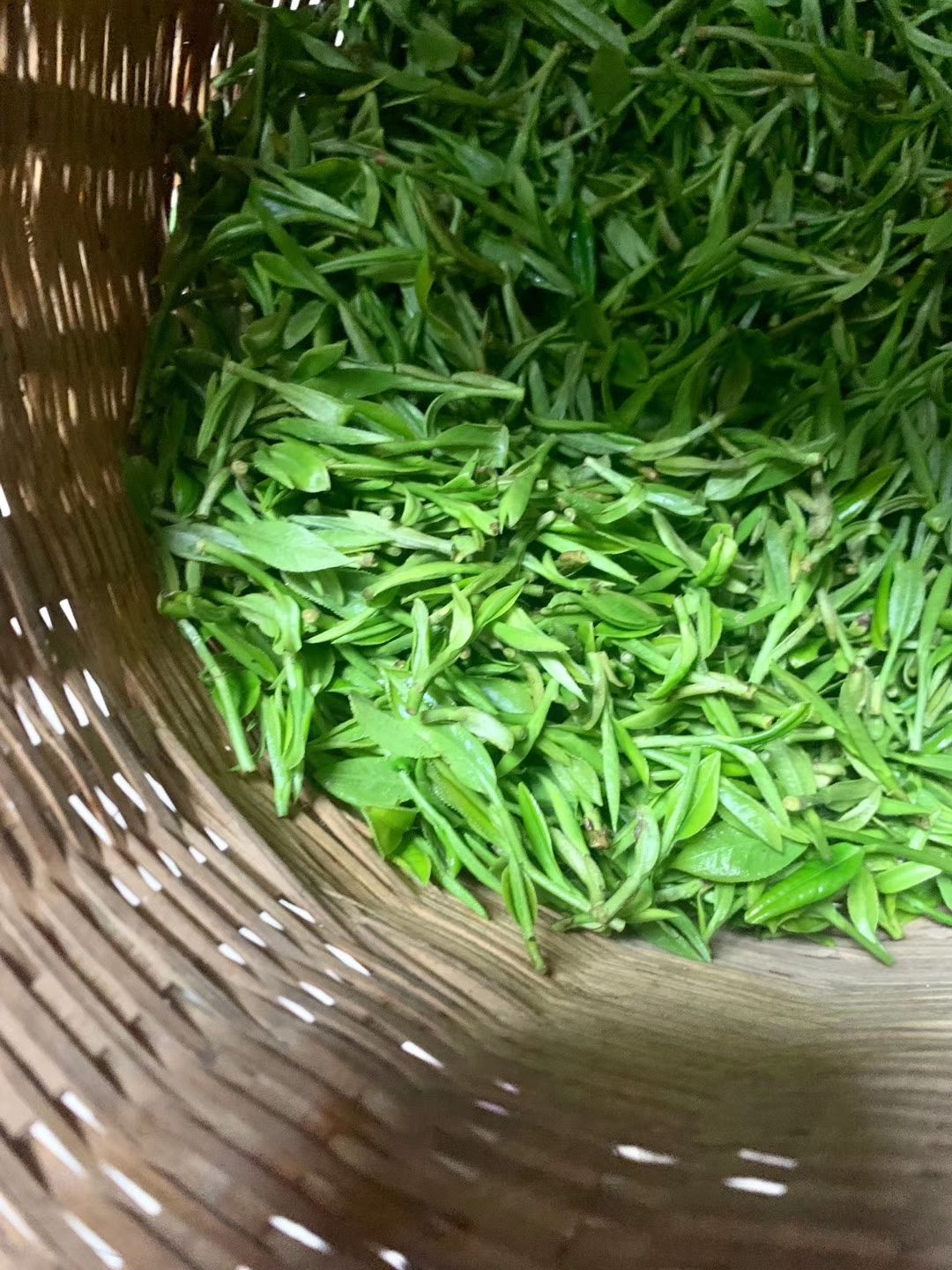  50年以上树龄高山龙井茶，自有茶山，明前龙井可预定！