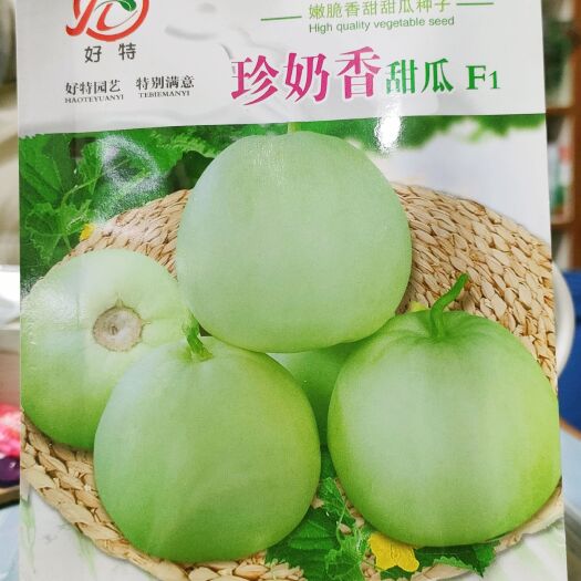 湘乡市 甜瓜种子 香瓜种子 珍奶香甜瓜种子 果皮浅绿果实圆形 春秋5