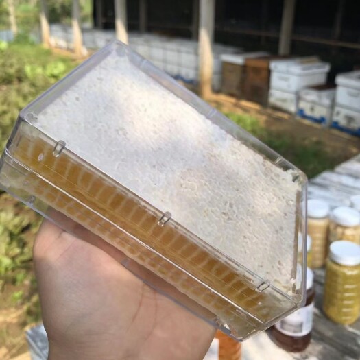 长葛市农家自产秦岭蜂巢蜜老巢峰蜜土蜂蜜蜂巢蜜嚼着吃纯正天然