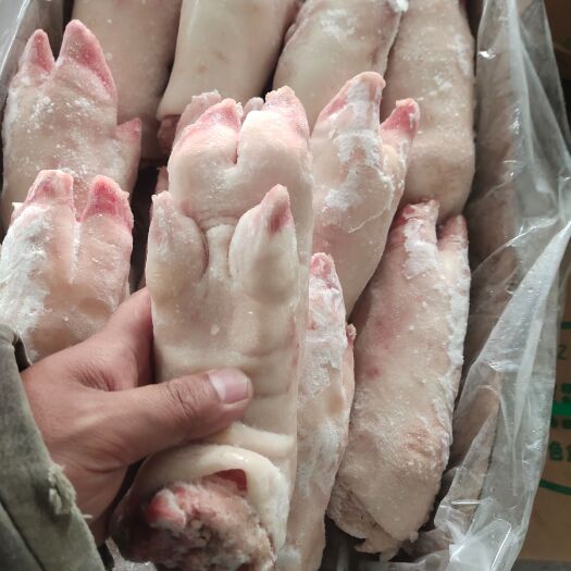 临沂母猪蹄子，猪蹄