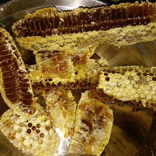 长葛市蜂蜜纯正天然土蜂蜜成熟百花蜂自产蜂场直发瓶装土蜂蜜