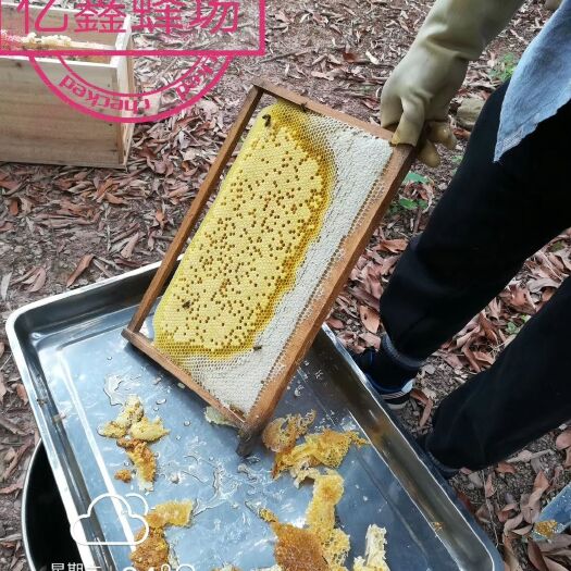 清远荔枝蜜 纯蜂蜜，没有白沙糖成份的，是纯属的放心食品