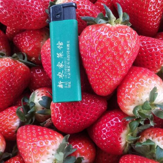 临沂甜宝草莓 个大 味甜