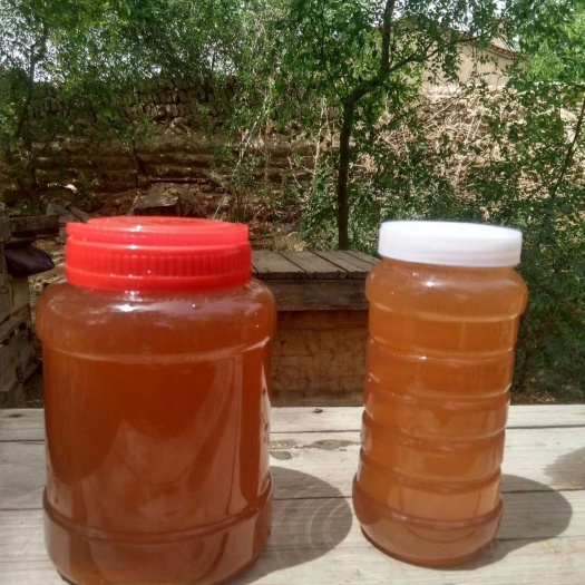 哈密枣花蜜 自产红枣蜂蜜，封盖蜜，浓度40度以上，产地新疆哈密