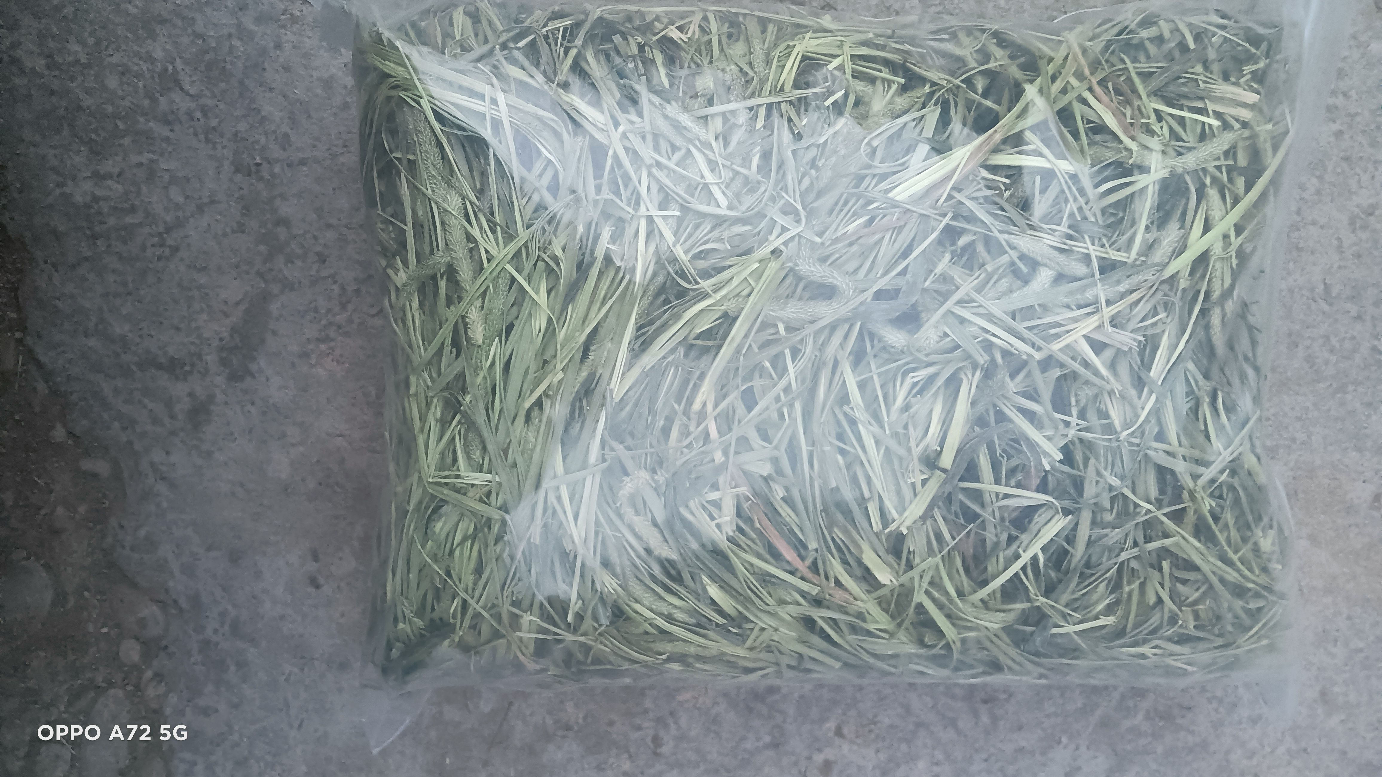 岷县干草 2022年晒干提摩西草，自己加工一手货源，草场直发的