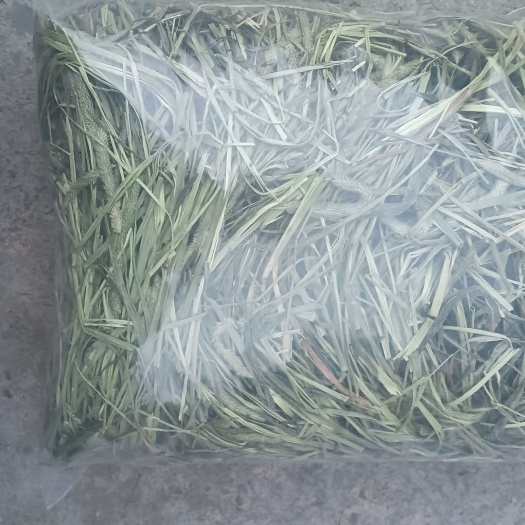 干草 2024年晒干提摩西草，自己加工一手货源，草场直发的