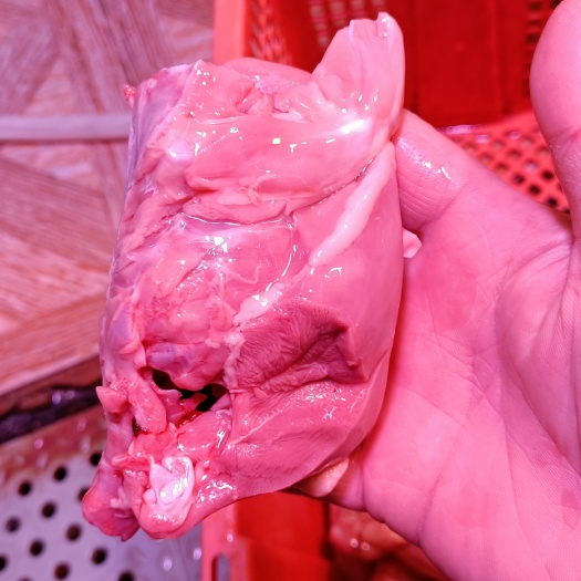 汕头乳鸽 去皮鸽子肉，去皮鸽子肉