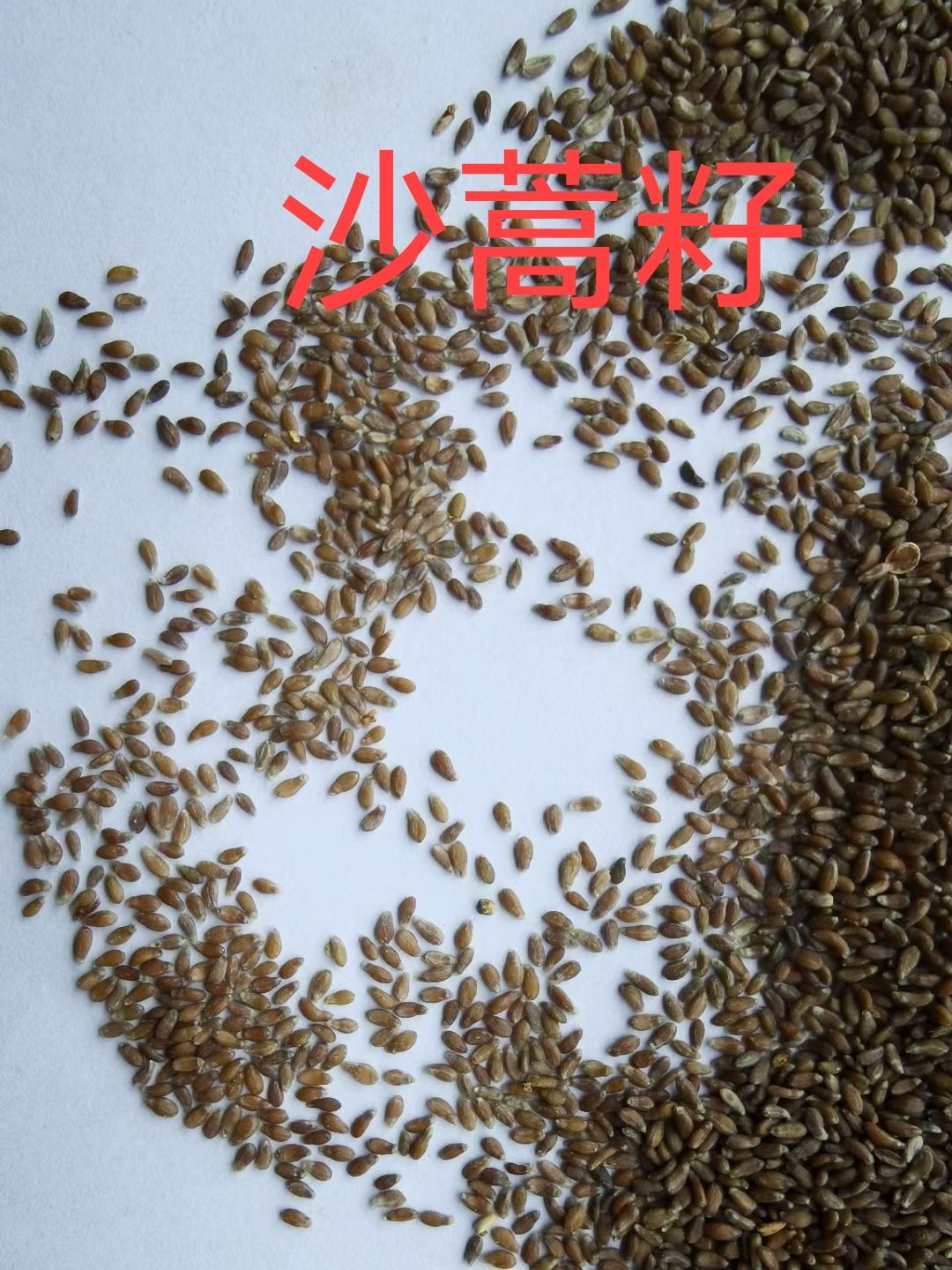 杭锦旗食用级沙蒿籽，沙蒿籽粉。