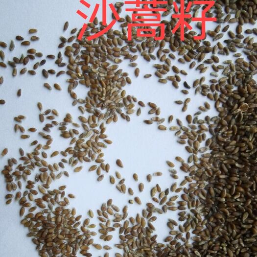 杭锦旗食用级沙蒿籽，沙蒿籽粉。