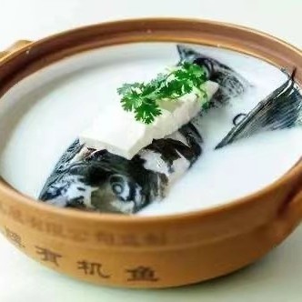 雄鱼 胖头鱼