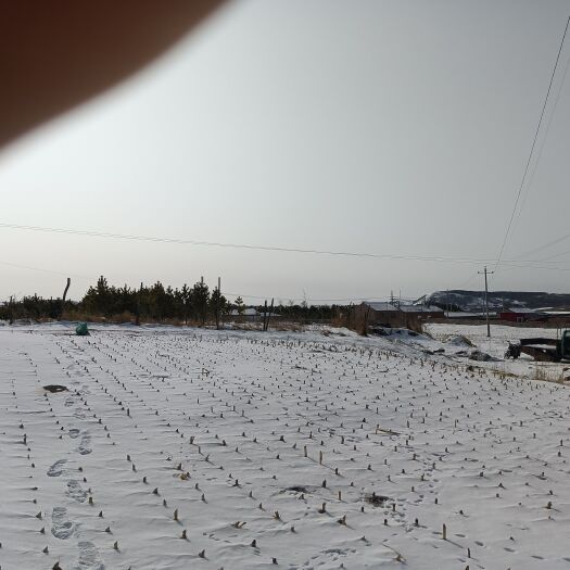 多伦县宅基地 北京近县农村大院，有耕种土地，草场