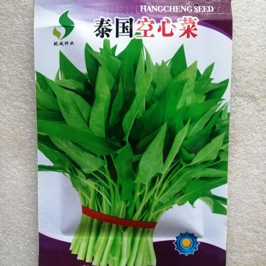 祁阳市空心菜种子 原包装泰国尖叶空心菜大叶空心菜种阳台盆栽大面积勻可播种