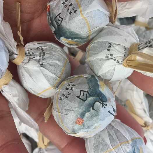 思茅 月光白龙珠