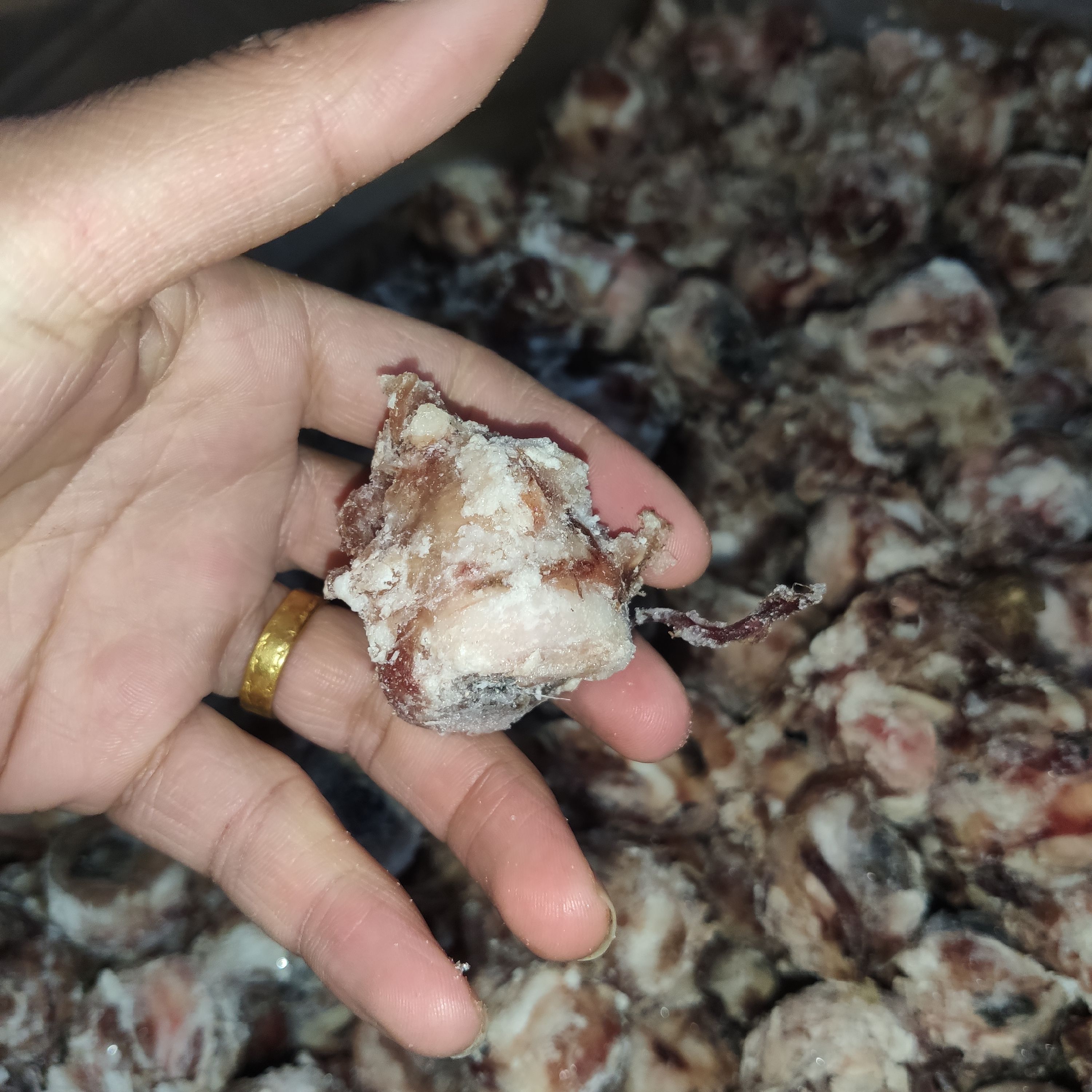 羊眼睛 熟羊眼，熟度高，不泡水，精品羊眼常年有貨，一手貨源