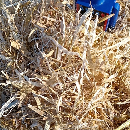 白城精品过夏玉米秸秆柔丝草块