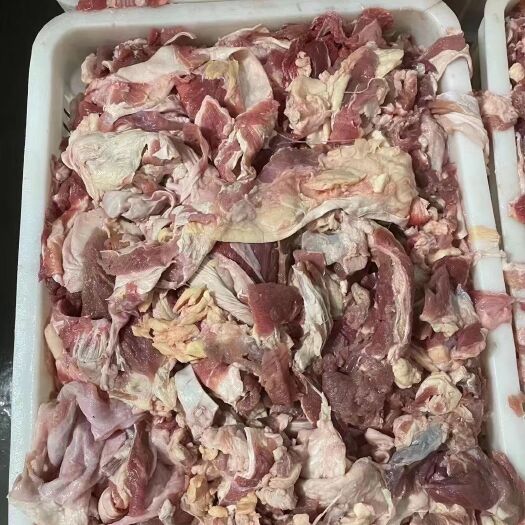 河间市牛肉类 牛肉筋