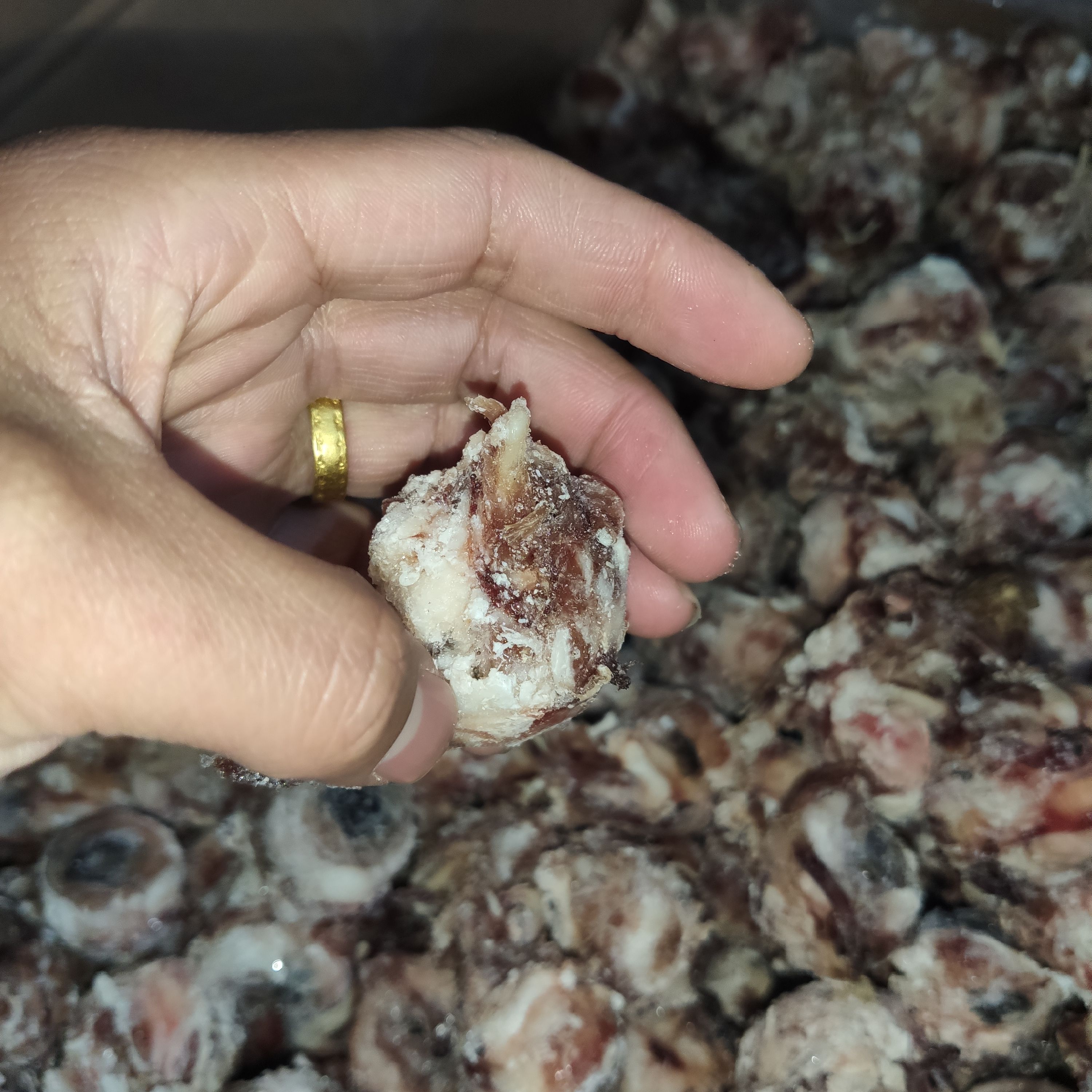 羊眼睛 熟羊眼，熟度高，不泡水，精品羊眼常年有貨，一手貨源