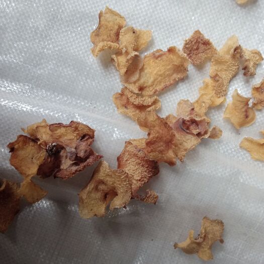 鱼台县 羊肚耳无根片好泡发高