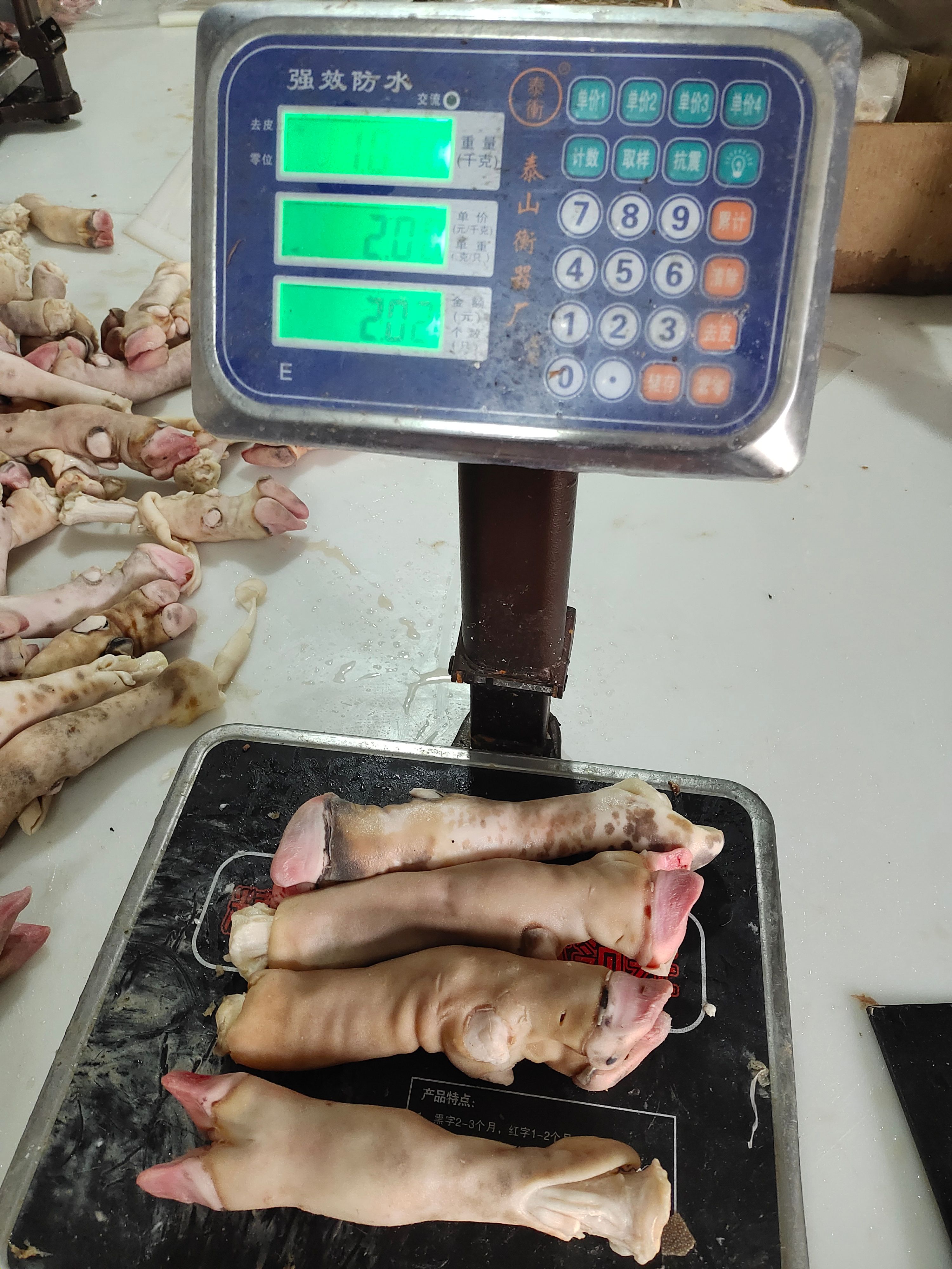 羊蹄