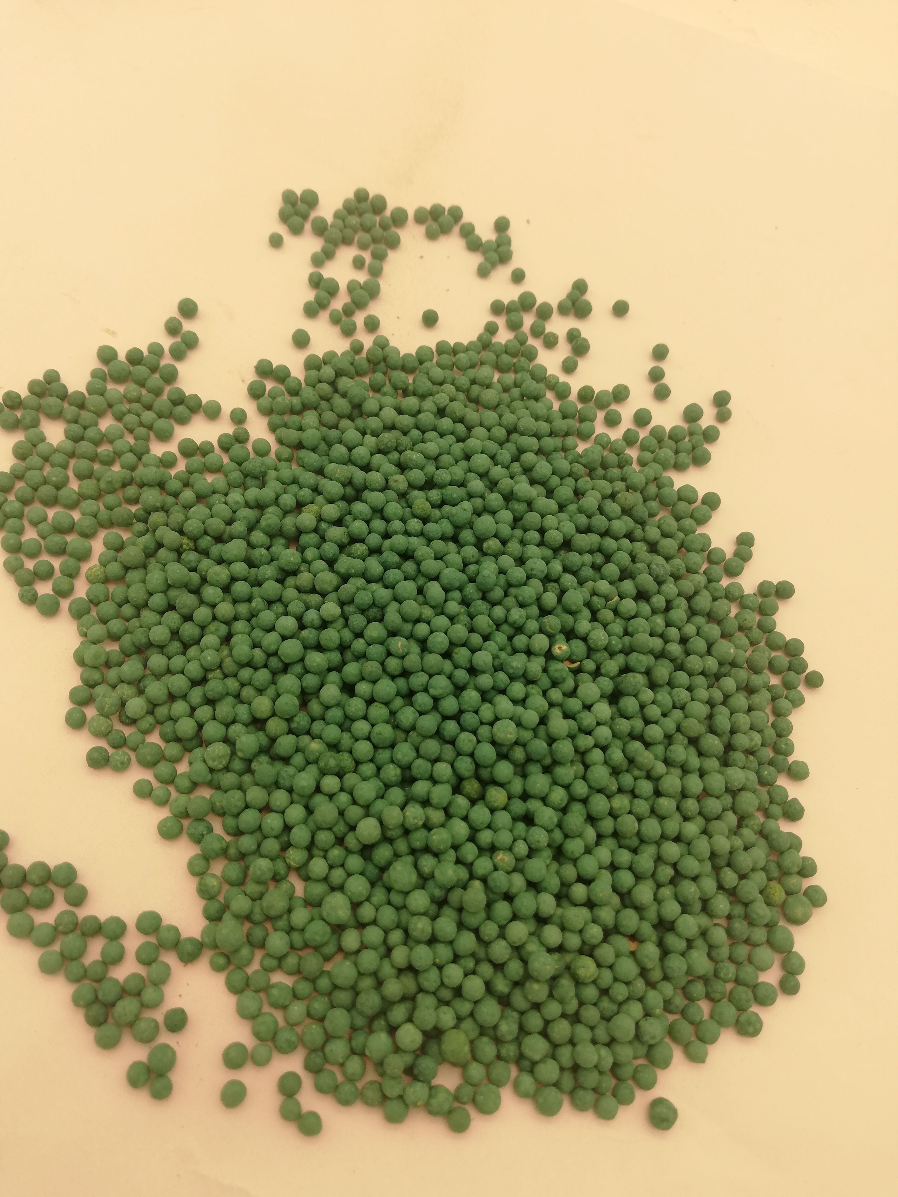 马蹄金种子马蹄金草种子边坡绿化草种观赏草坪小金钱草铜钱草种