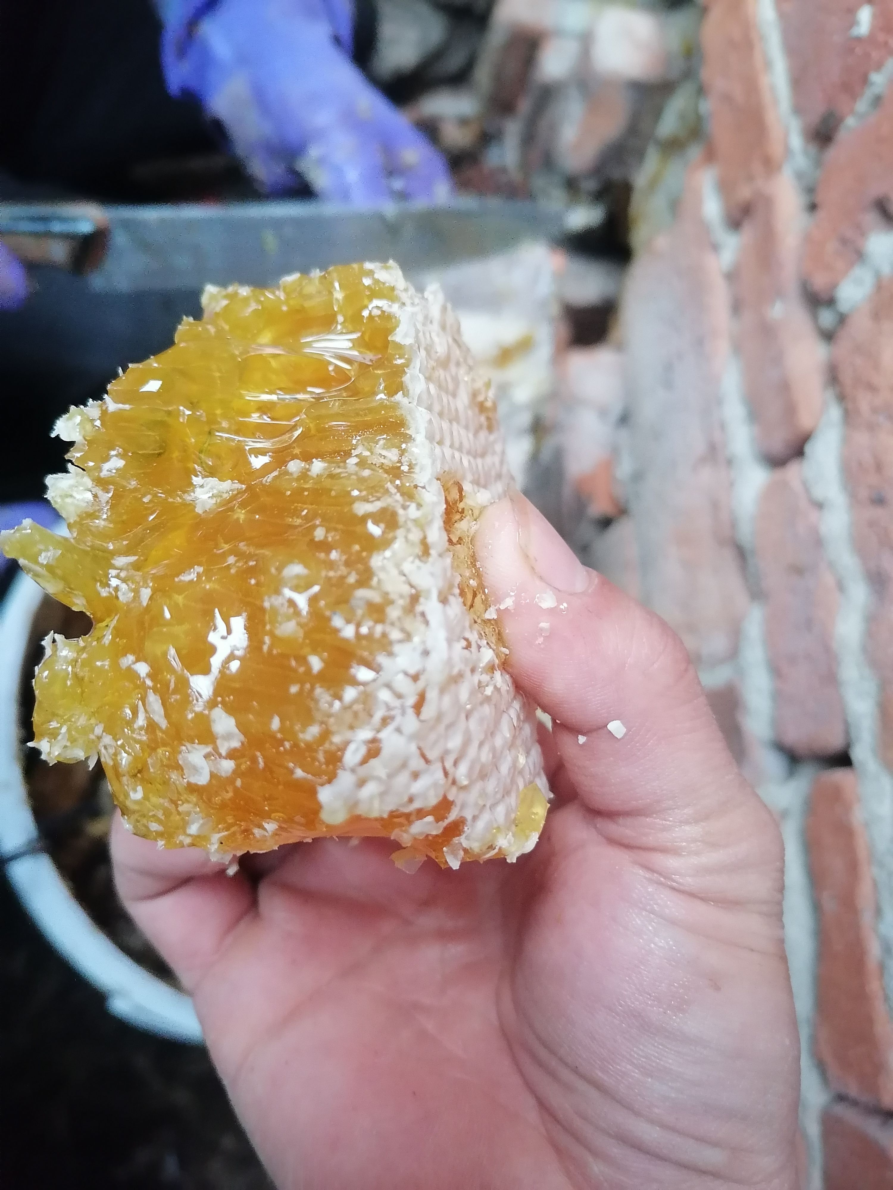  天然野蜂蜜