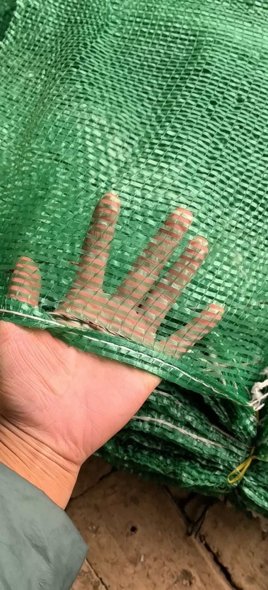 绿色 玉米网袋子，红薯，玉米，等等！55×85，60×85