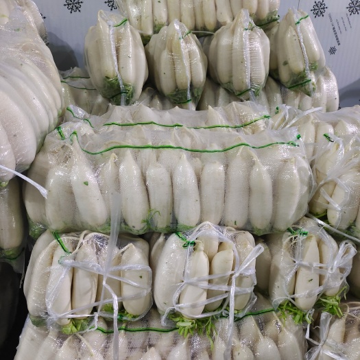 天门市 湖北天门多宝沙洋精品白萝卜