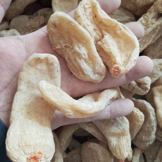 彝良县云南昭通彝良产地天麻 红天麻中药材 滋补药材产地直发