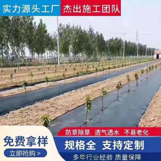 德州果园防草布