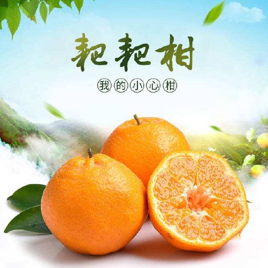 产地自产自销  耙耙柑货源充足，口感多汁颜色漂亮，
