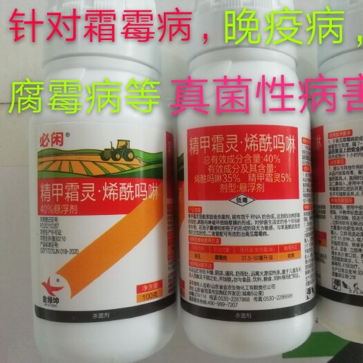 阳谷县 精甲霜灵烯酰吗啉  霜霉病  疫病 白粉病 腐霉病