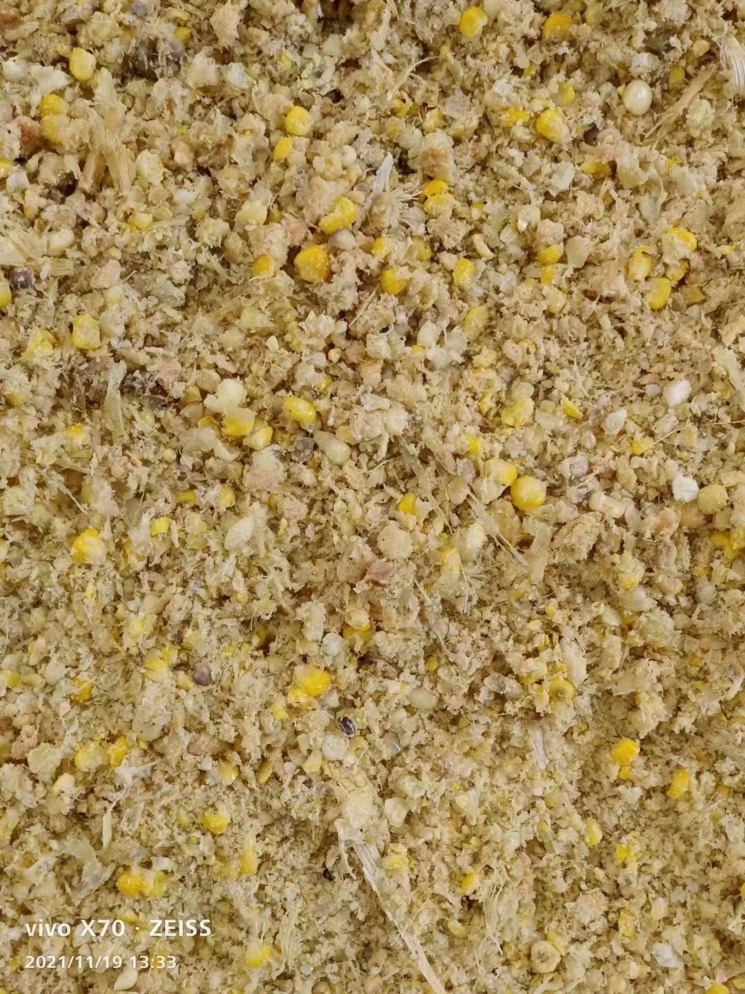 糯玉米 发酵玉米饲料，纯纯的黏玉米高温蒸熟直接粉碎发酵