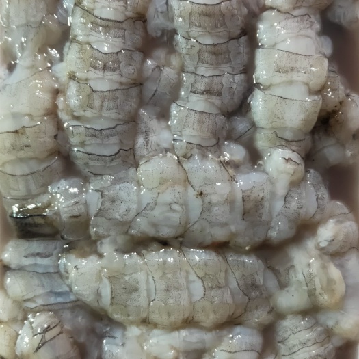 连云港【皮皮虾肉】【虾爬子肉】【虾虎肉】新鲜现剥皮皮虾肉虾爬肉速