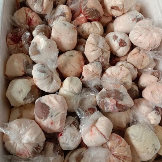 通辽羊宝 油腰