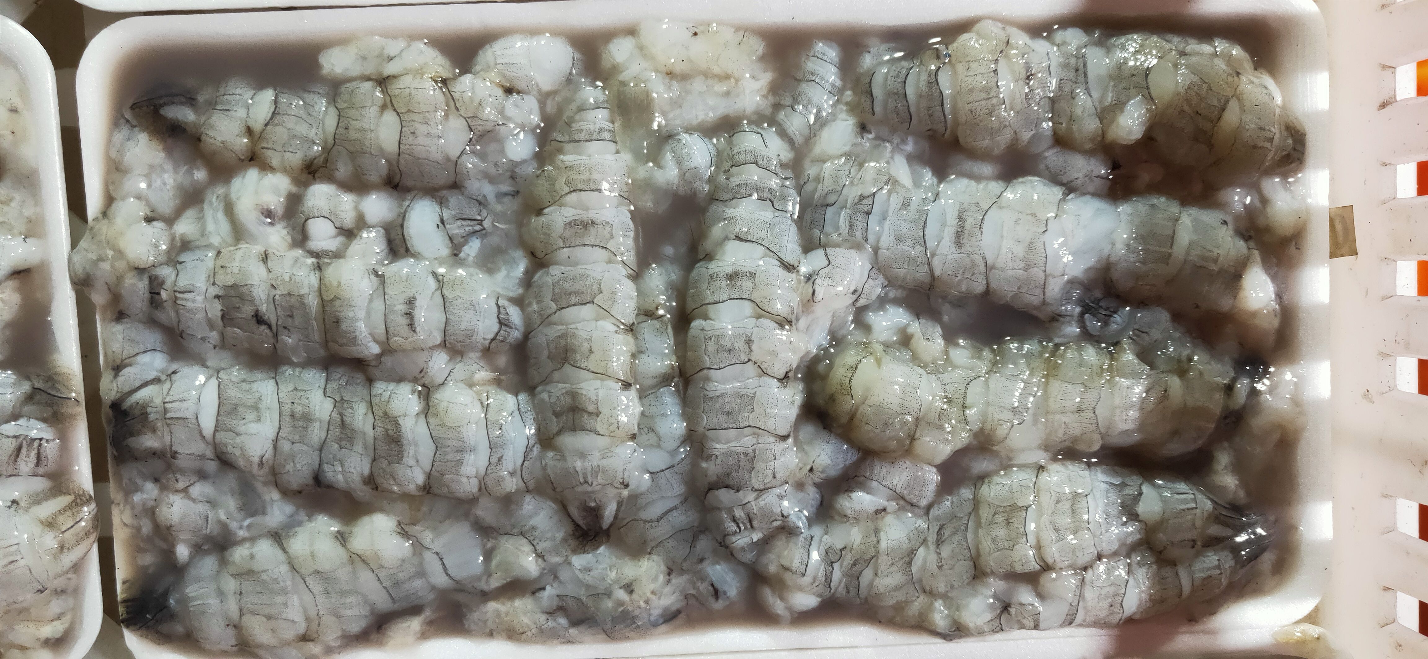 【皮皮虾肉】【虾爬子肉】【虾虎肉】新鲜现剥皮皮虾肉虾爬肉速