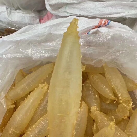 饶平县花胶鱼胶鱼鳔赤嘴鳘鱼胶筒