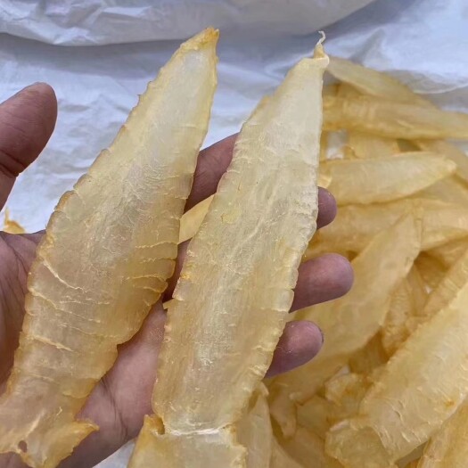 饶平县鱼胶花胶南澳赤嘴条