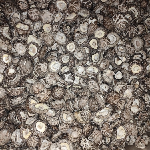 花菇 各种规格 干货食用菌 批发零售