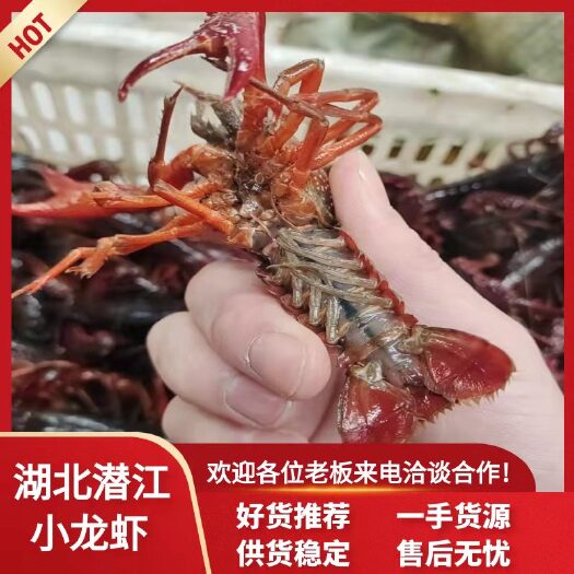 【推荐】湖北小龙虾产地直供品类齐全新鲜欢迎餐饮 商超