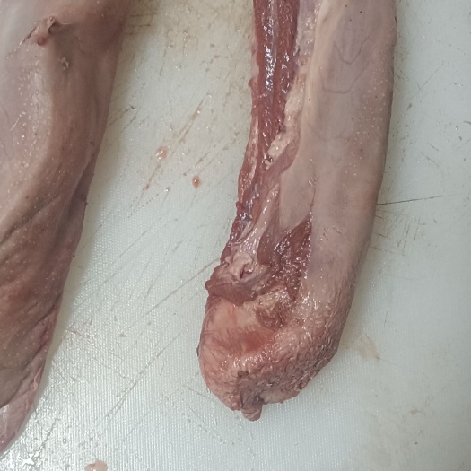 丰县猪舌尖，也叫舌棍，去舌苔肉，去尾夹，纯舌棍，分割冷冻发货！