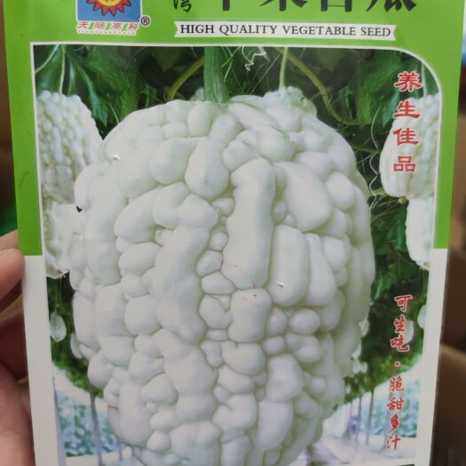 余干县苹果苦瓜种子，5粒，糖度高达6度，口感脆甜多汁，果型粗肥