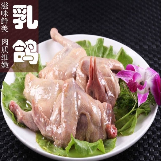 灵山县 广西灵山冰鲜乳鸽 现杀现发 欢迎各位大Boss.选购