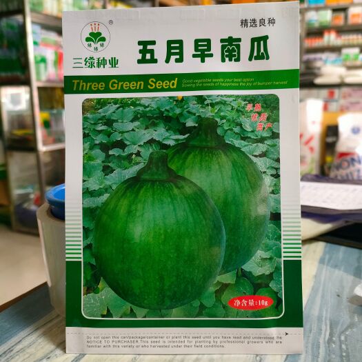  南瓜种子 小南瓜种子 五月早南瓜种子 早熟春秋播10克