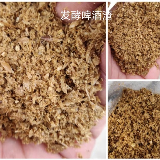 石家庄玉米渣 发酵湿啤酒渣