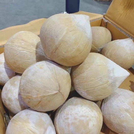 广州椰子  泰国香水椰皇 6个装